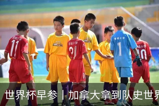 世界杯早参丨加拿大拿到队史世界杯首个积分 开幕式表演翻车大力神杯瘪了 加纳一球员涉嫌强奸被拒绝入境无缘首战